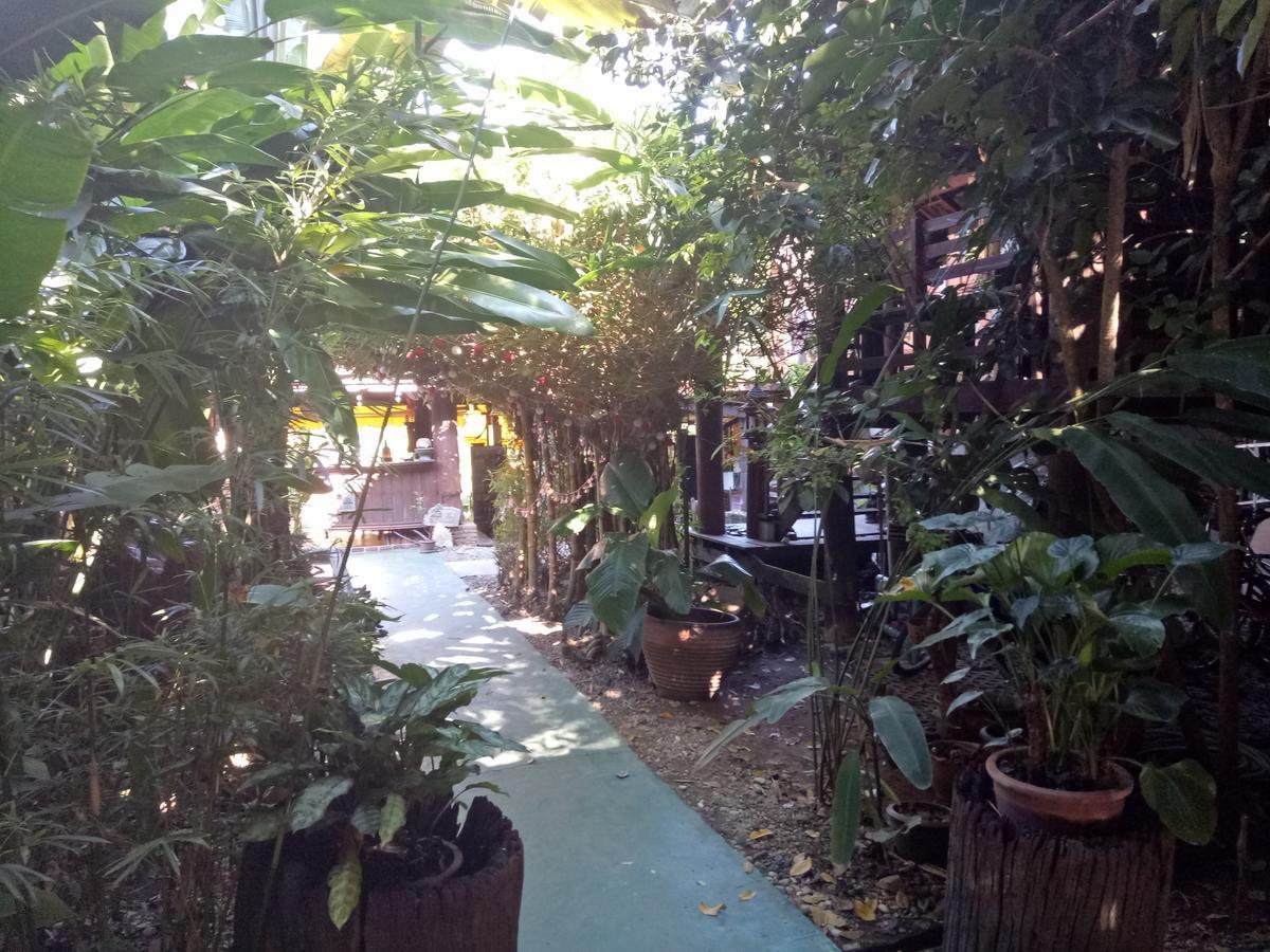 Tonnam Homestay شيانغ ماي المظهر الخارجي الصورة